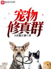 济南能考中级会计吗