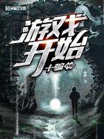 中级会计师实务电子版