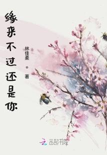 贵池区乡镇财政分局待遇