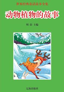 初级会计怎样自学备考呢