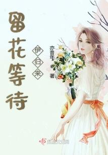 购LED灯管会计分录