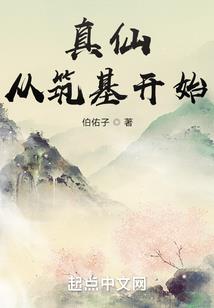 做会计的感受