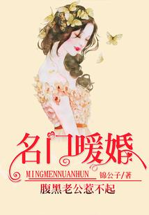村账会计分录