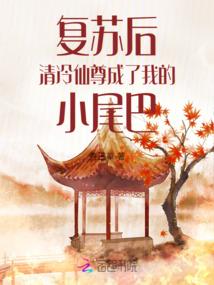 记账会计师如何报税
