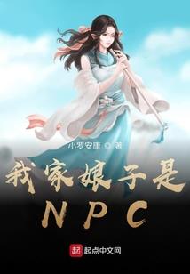 南阳财税规划价格