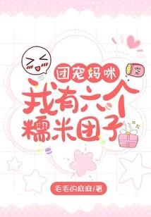 中级会计征鸿