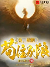 财税201647条