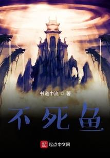 财政局与财政所关系