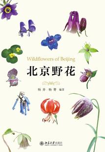 初级会计app好吗