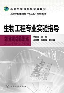 东奥精彩开幕时间表