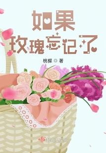 会计师报考什么条件