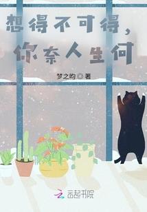 公司咨询财税问题