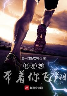 鹦鹉财税系统