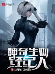 共享中心的会计