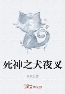 东奥讲开排行榜