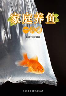 初级会计实务有多少公式
