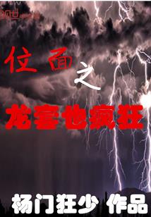 中级会计师复核工作简历
