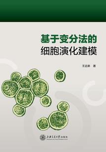 乔巴财税