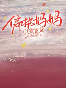 cpa网课审计