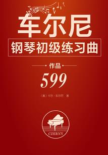柳艺注册会计师