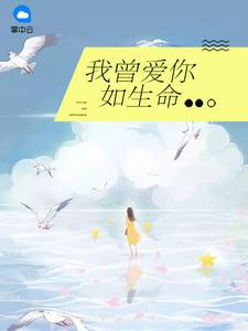 芗城区会计考试流程
