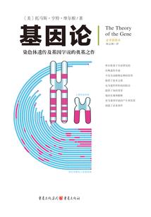三峡能源会计师