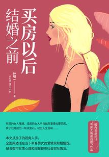 政府会计等式