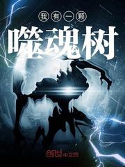 cpa真题综合阶段