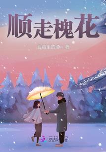 深圳报名会计初级考试