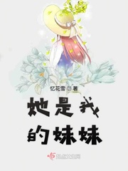 初级会计教材利润表