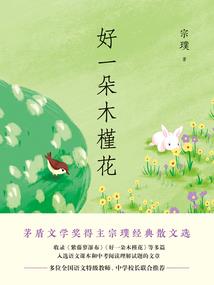 超多财税课