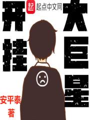 2017年自学考试会计