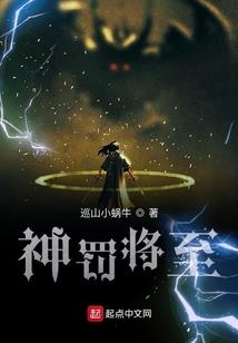 会计讲师简介