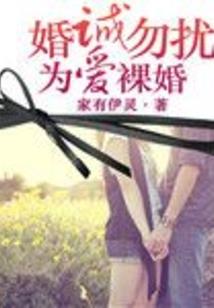 河南初级会计试题