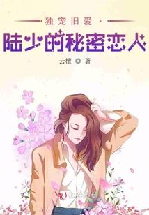 河南注册会计师学会