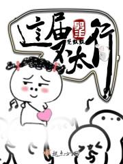 财政监察计划