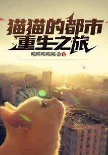 管理会计师福建考点分布