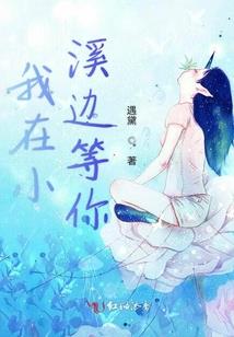 财政账本