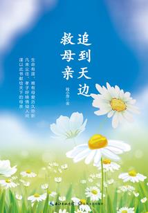 西宁会计师外包机构