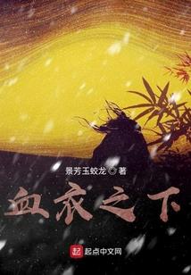 初级会计制作视频教程