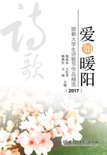 天津国税智慧财税