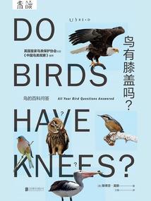 肥东会计广告设计