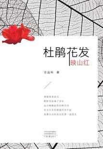 东小奥心情本