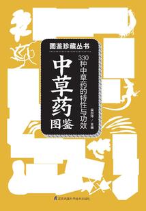 2019深圳财政收入