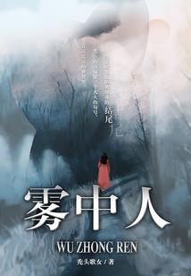 会计分录级