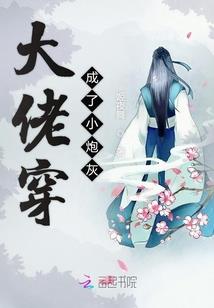 初级会计包含会计法吗