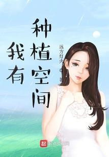 做账完整会计分录