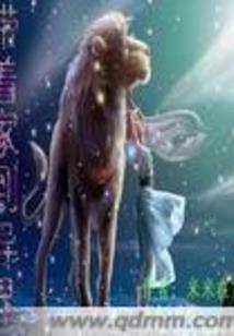 会计师哪个专业的