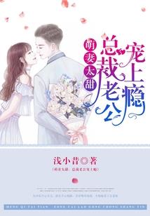 注册会计师网站模拟