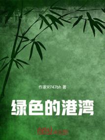 自考会计制度设计ppt